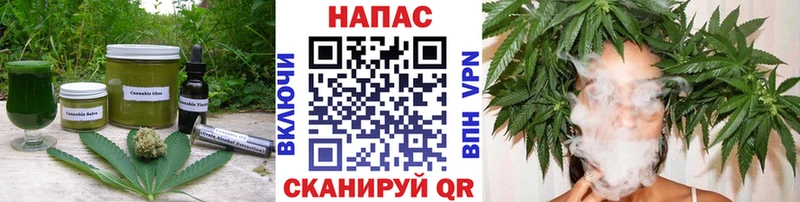 продажа наркотиков  Купино  Canna-Cookies марихуана 
