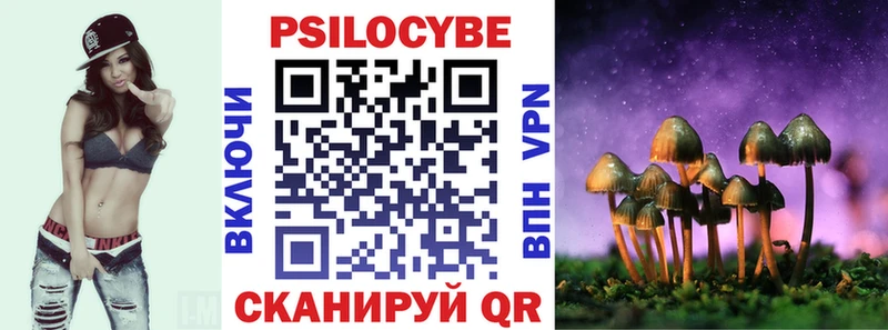 Псилоцибиновые грибы мицелий ОМГ ОМГ онион Купино